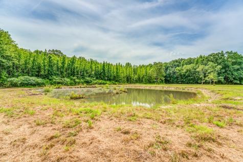 1225 Fields Drive Arlington TN 38002