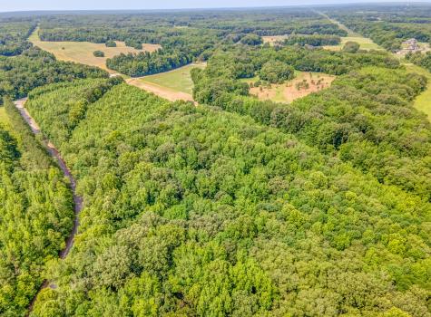 1225 Fields Drive Arlington TN 38002