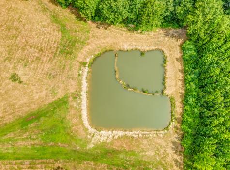 1225 Fields Drive Arlington TN 38002
