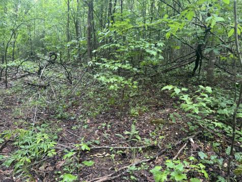 0 Highway 27 Whitwell TN 37397