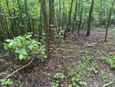 0 Highway 27 Whitwell TN 37397