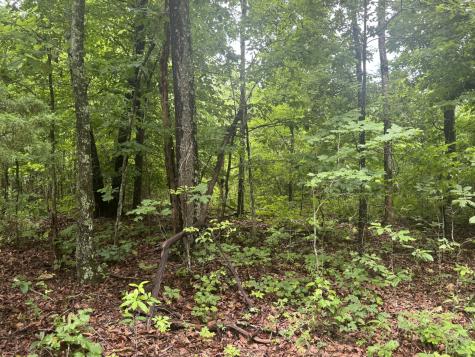 0 Highway 27 Whitwell TN 37397
