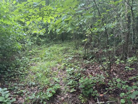 0 Highway 27 Whitwell TN 37397