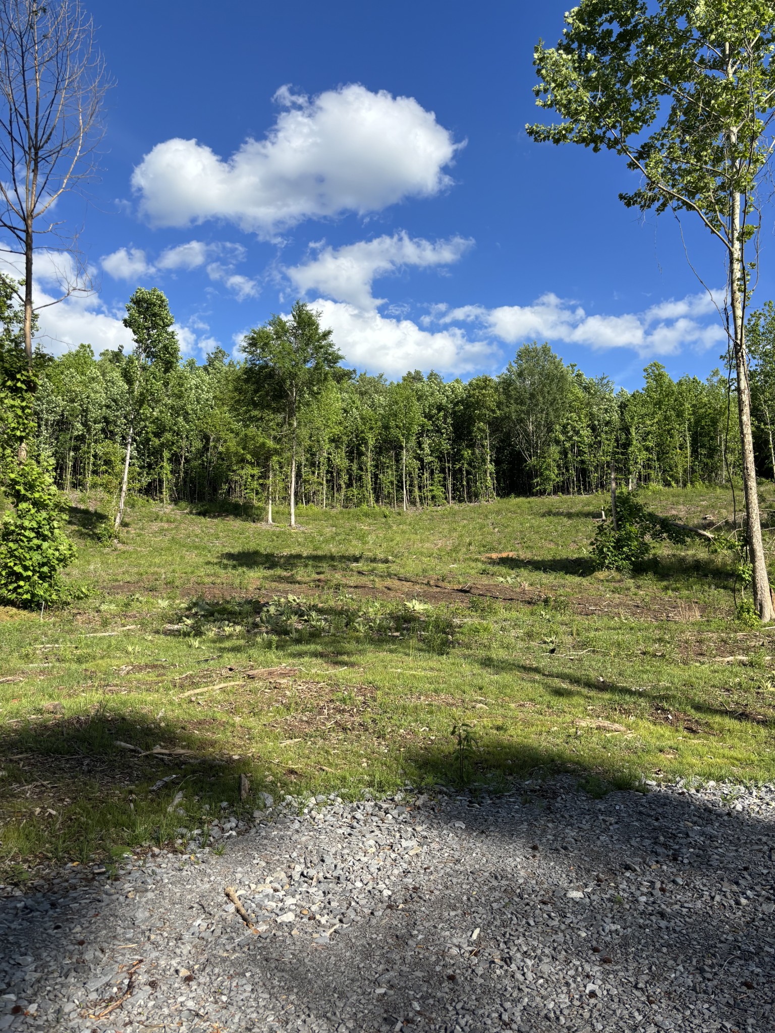 0 Highway 27 Whitwell TN 37397