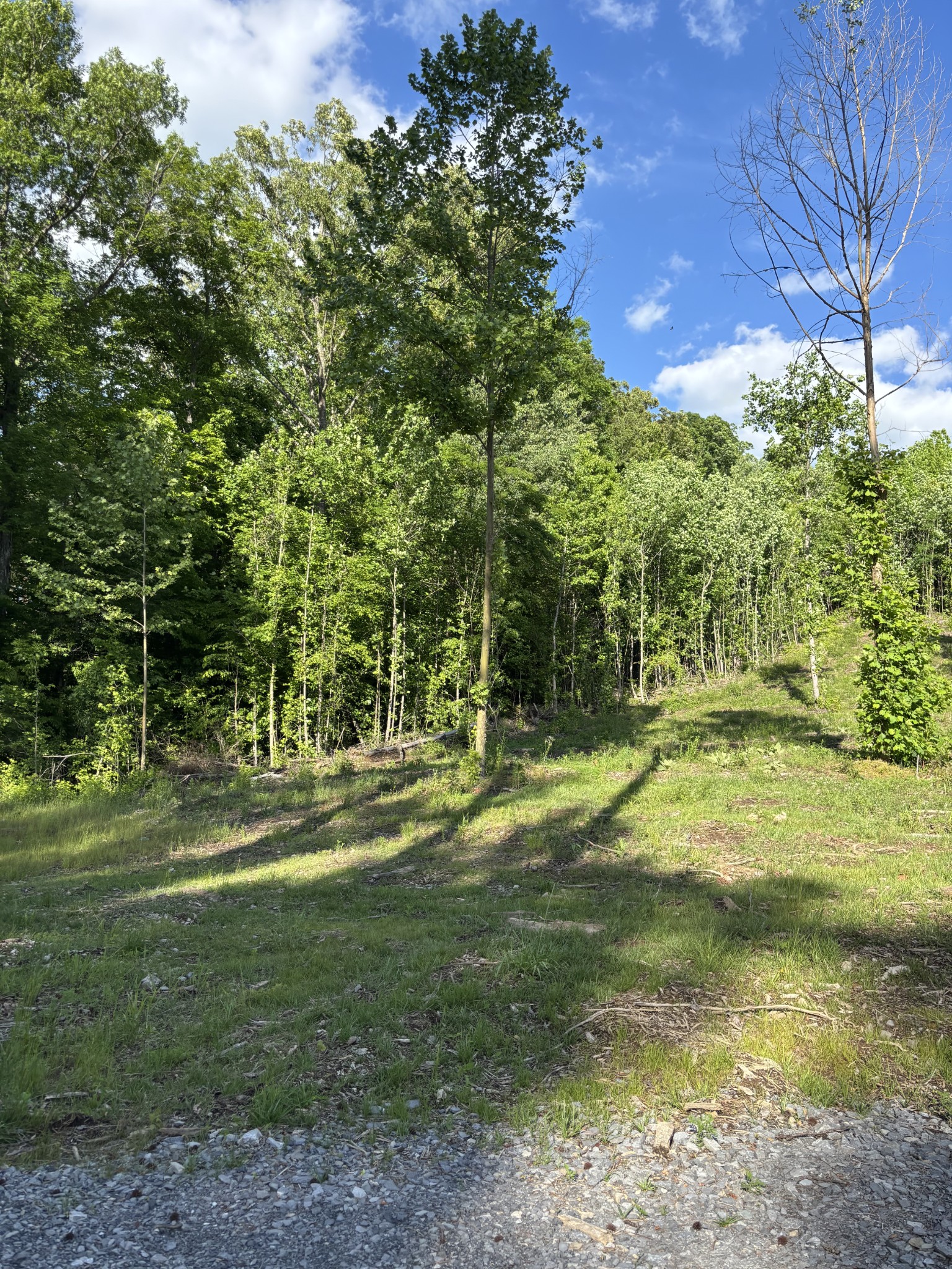 0 Highway 27 Whitwell TN 37397