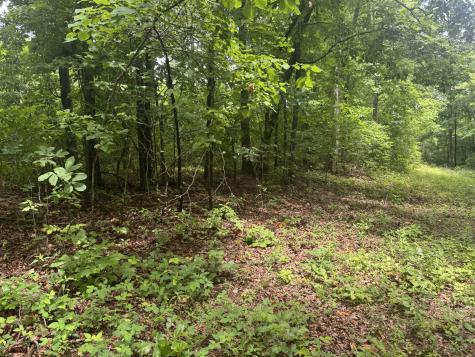 0 Highway 27 Whitwell TN 37397