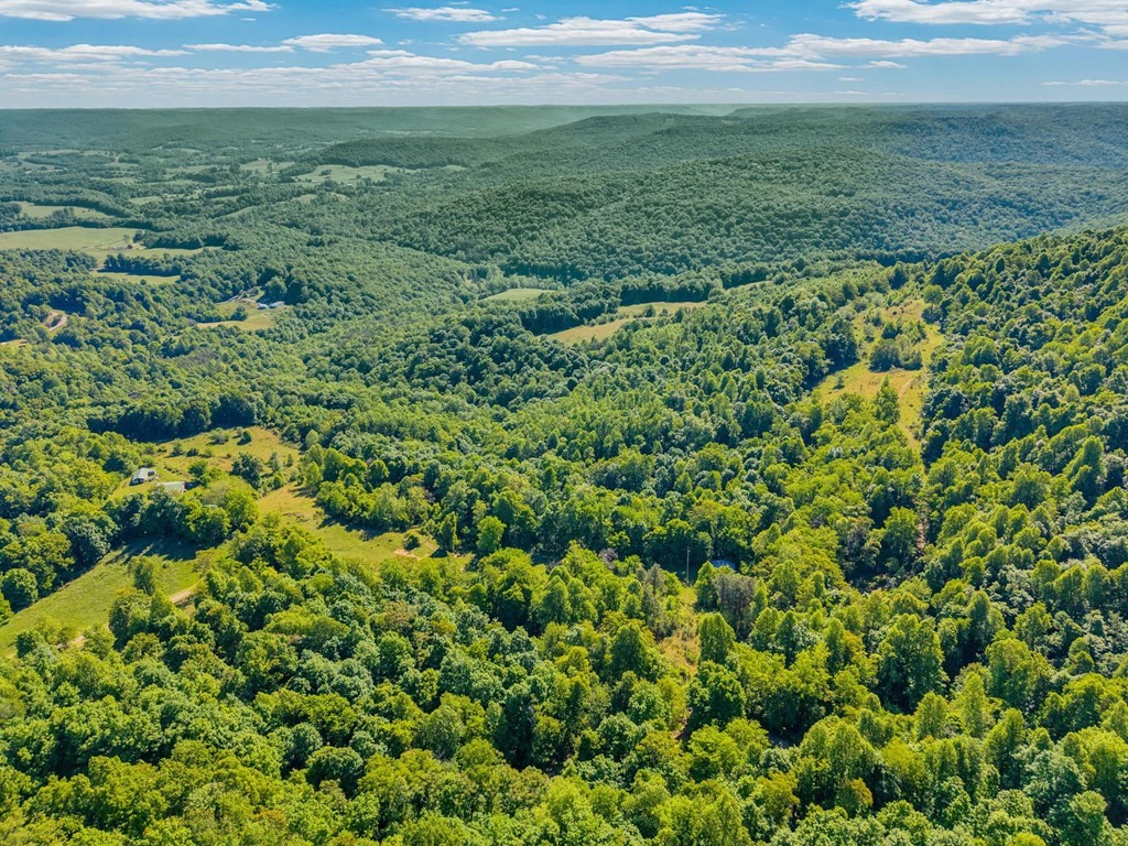 755 Woody Road Byrdstown TN 38549