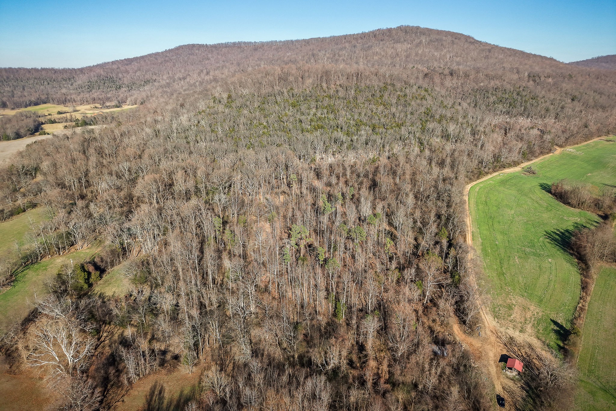 505 Thaxton Road Mcminnville TN 37110