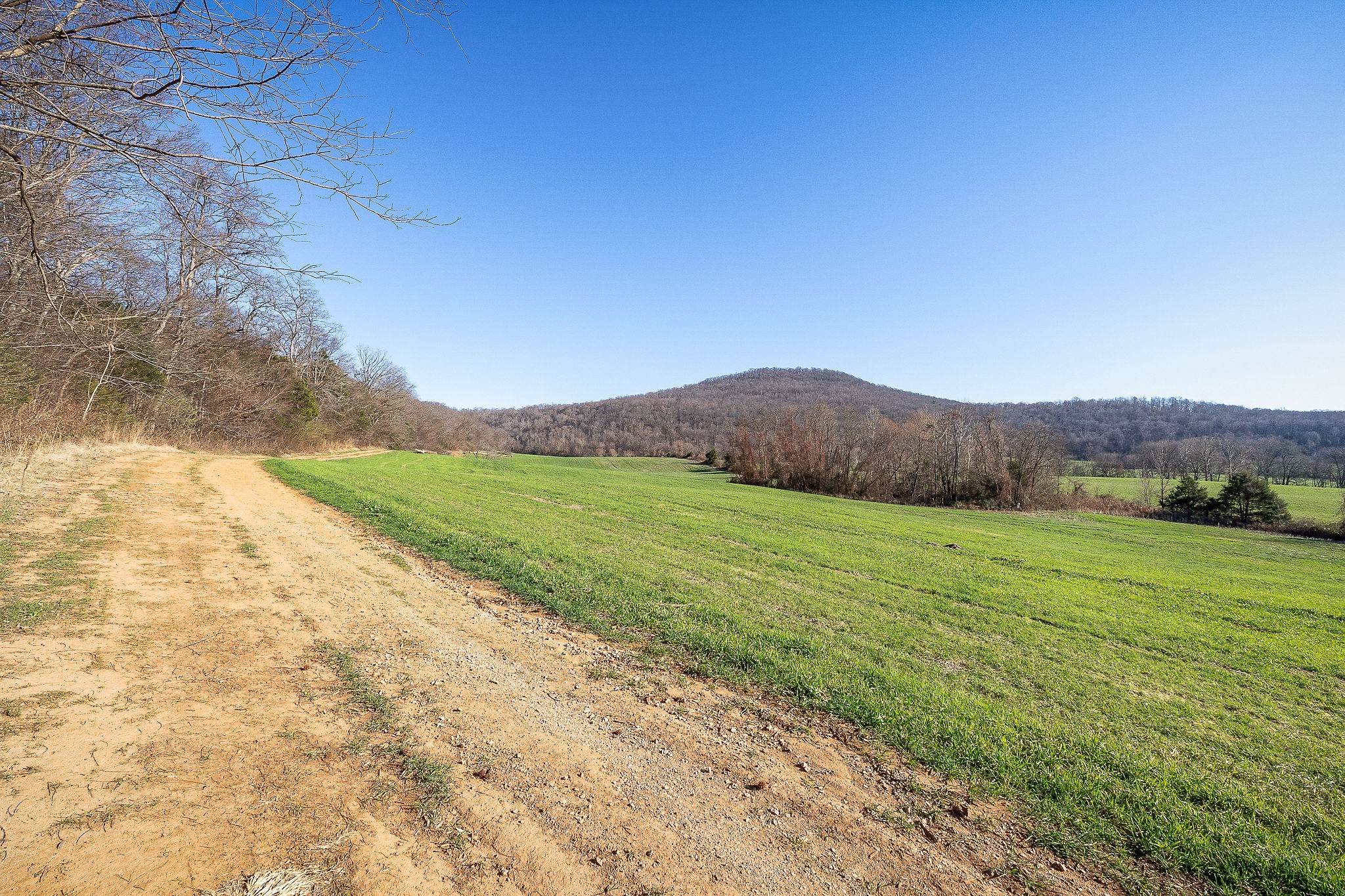 505 Thaxton Road Mcminnville TN 37110