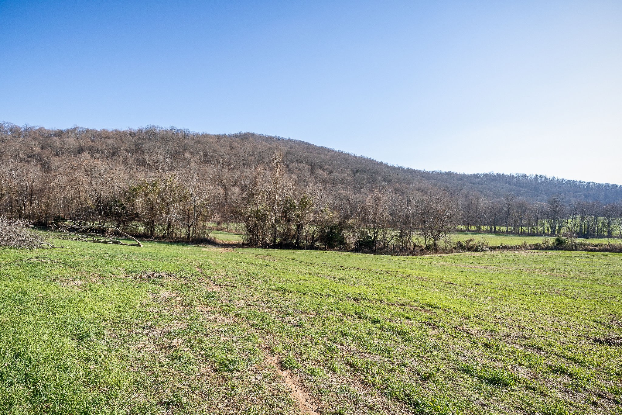 505 Thaxton Road Mcminnville TN 37110