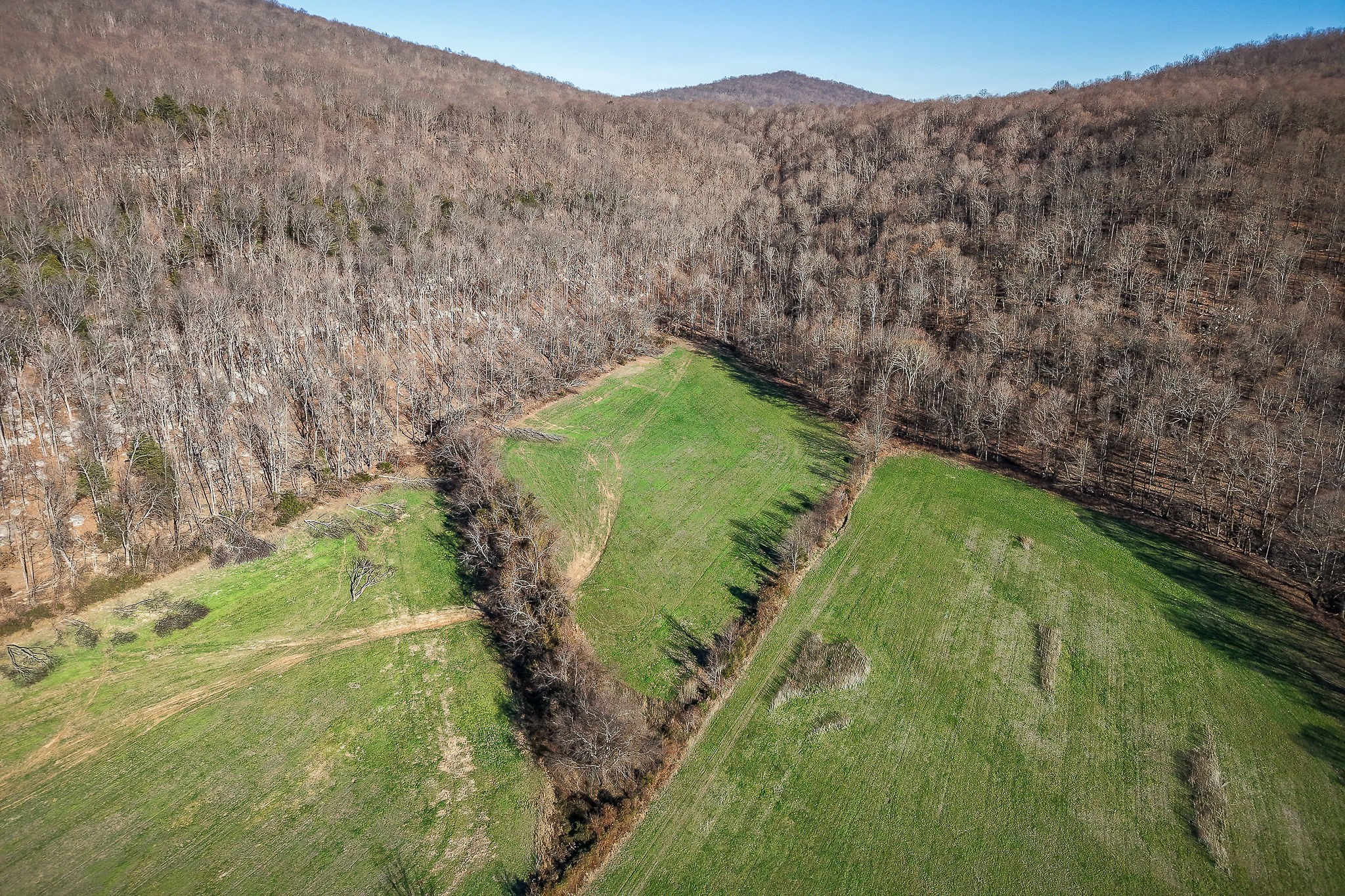 505 Thaxton Road Mcminnville TN 37110