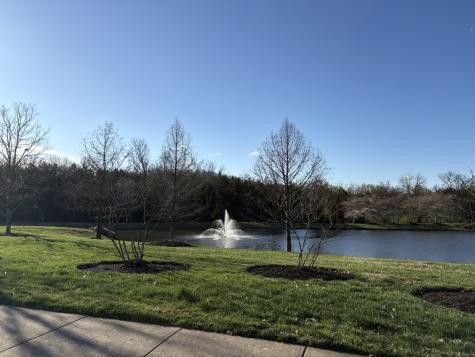 251 Meandering Drive Lebanon TN 37090