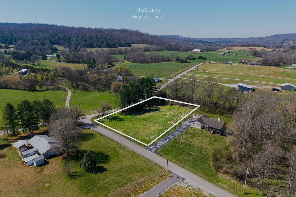 0 Webbs Camp Road Walling TN 38587