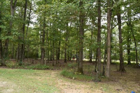 271 Ingman Cliff Road Tracy City TN 37387