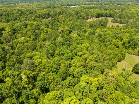 1431 Flatwood Road New Johnsonville TN 37134