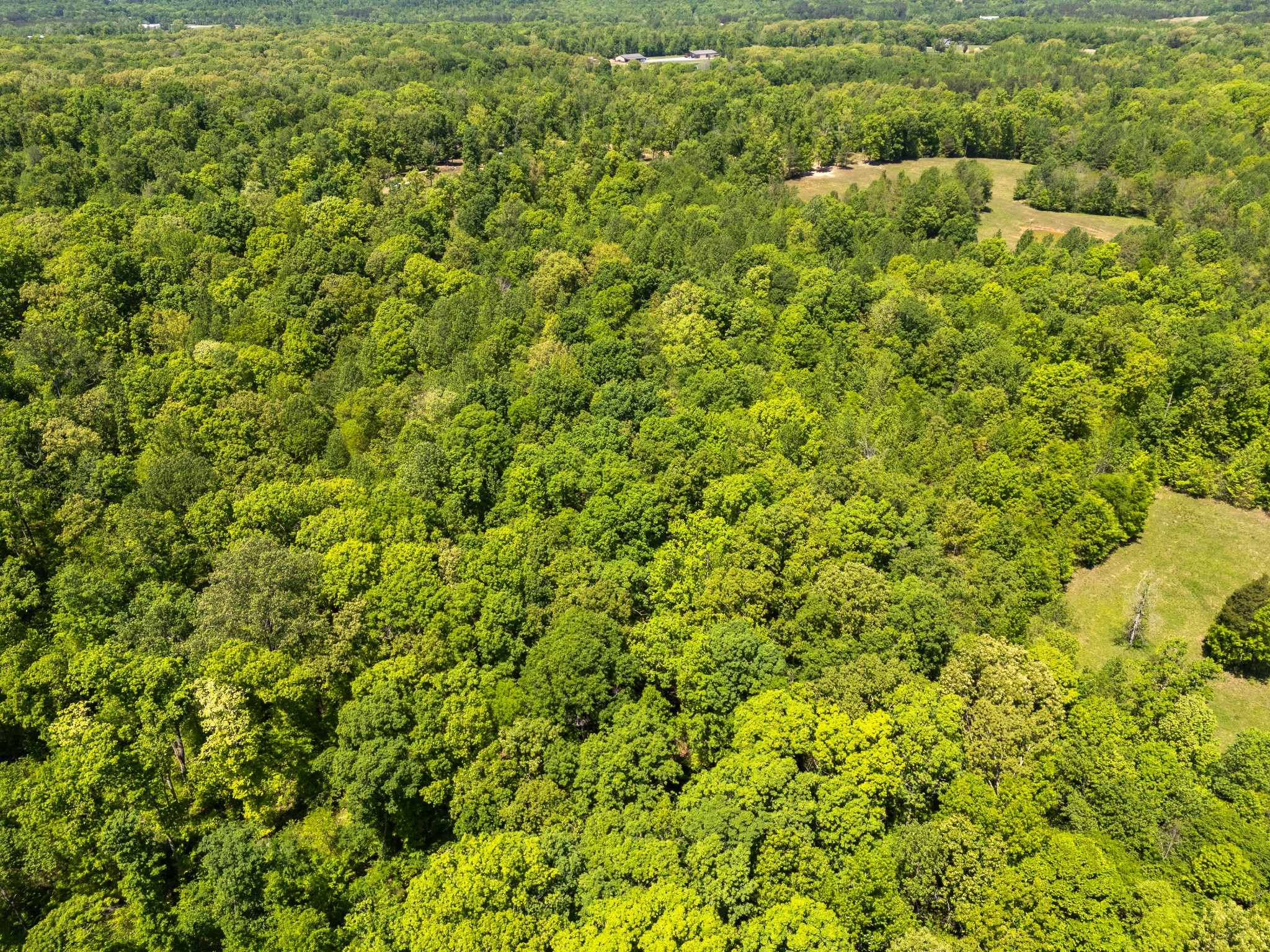1431 Flatwood Road New Johnsonville TN 37134
