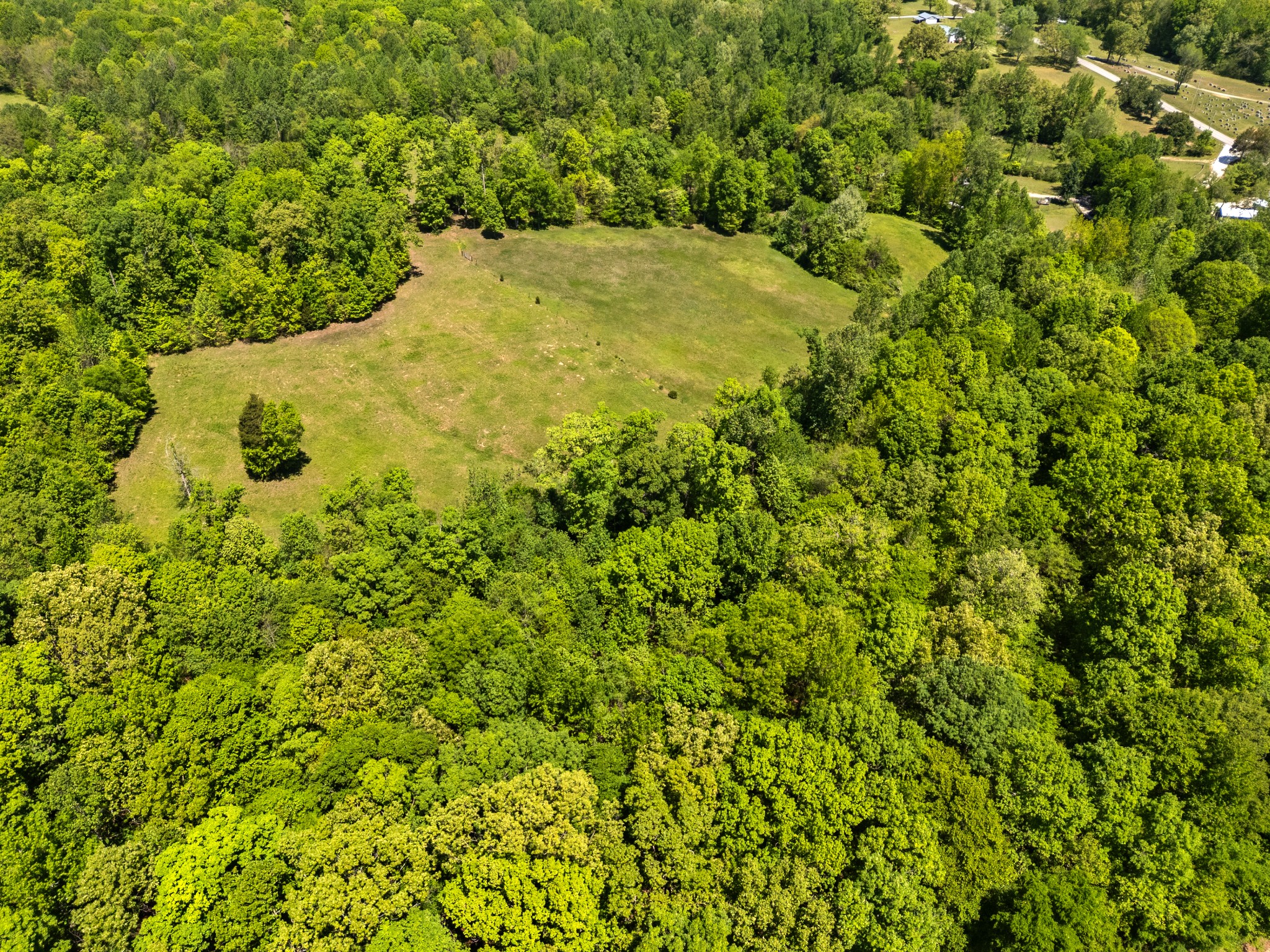 1431 Flatwood Road New Johnsonville TN 37134