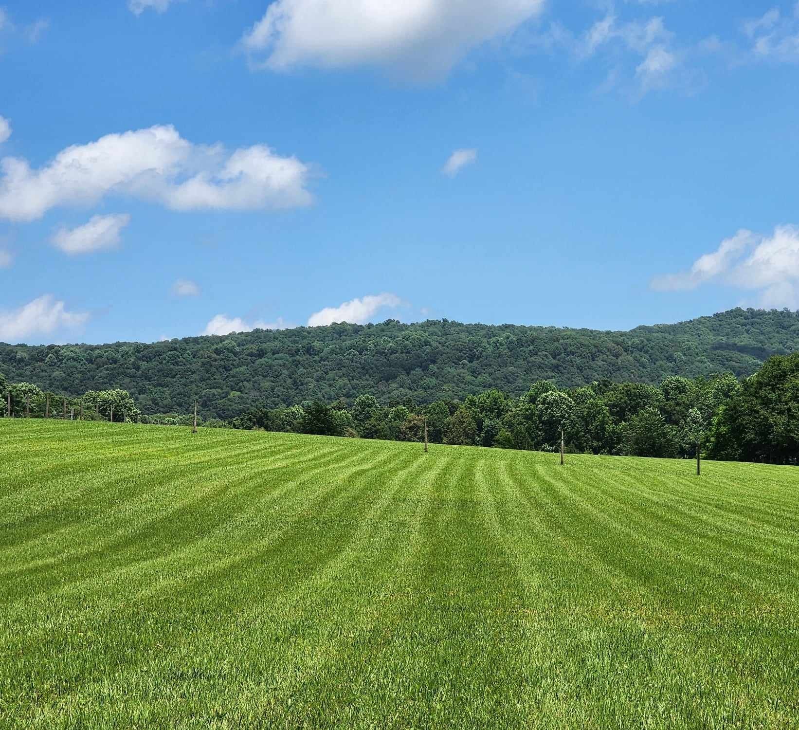 0 Chestnut Grove Road Morrison TN 37357