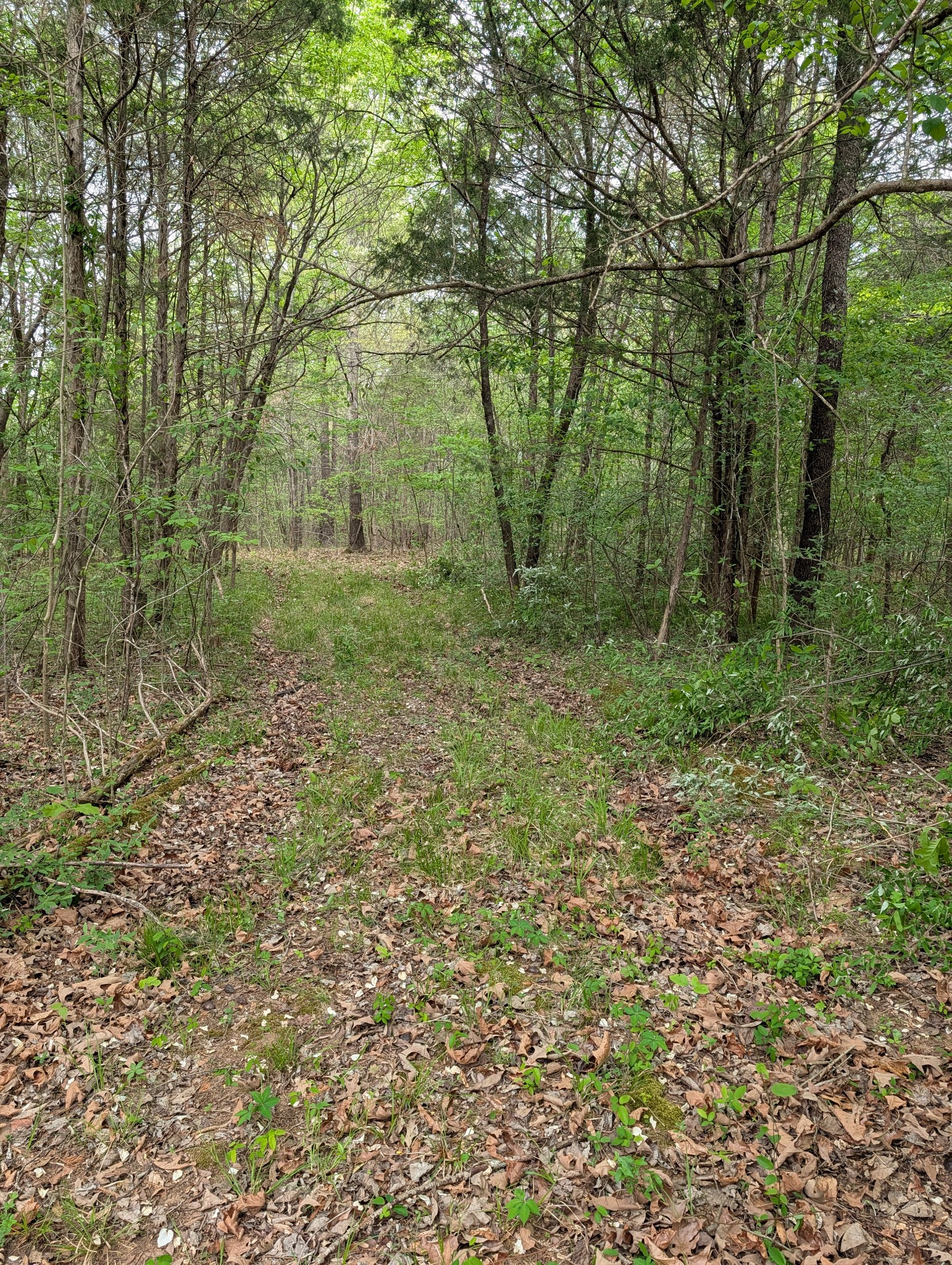 0 Highway 41 A Shelbyville TN 37160