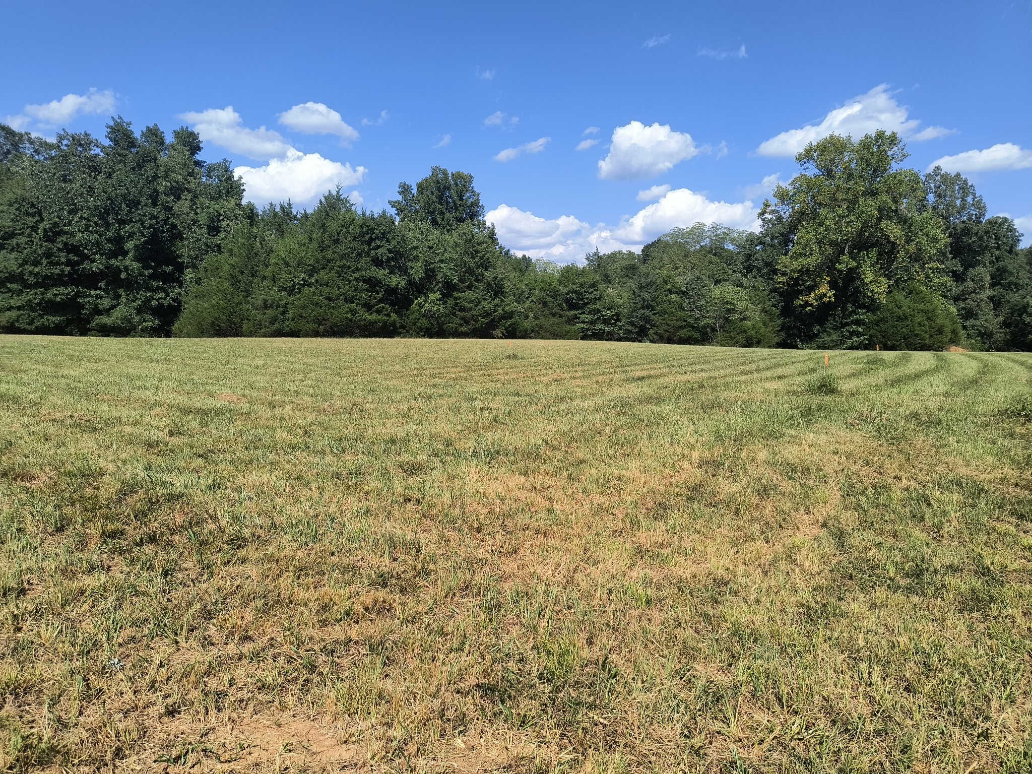 0 Highway 41 A Shelbyville TN 37160