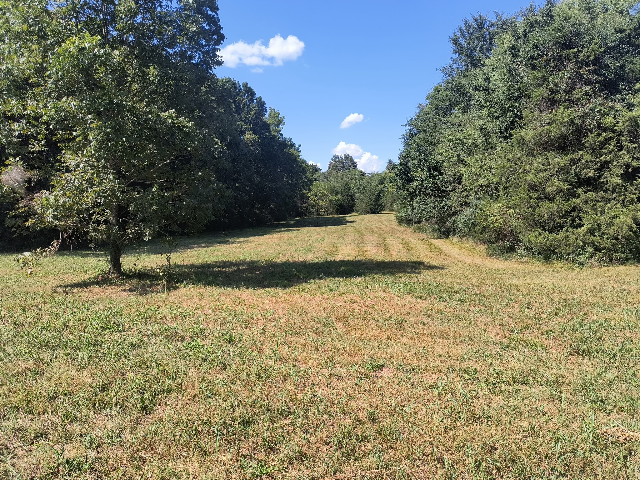 0 Highway 41 A Shelbyville TN 37160