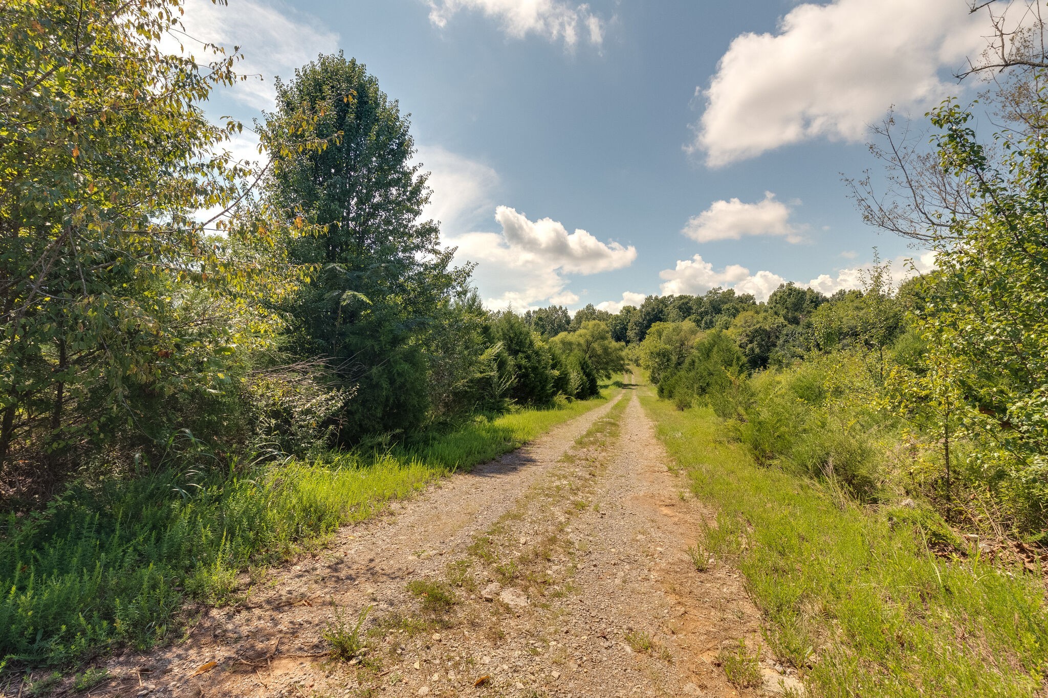 0 Highway 41 A Shelbyville TN 37160