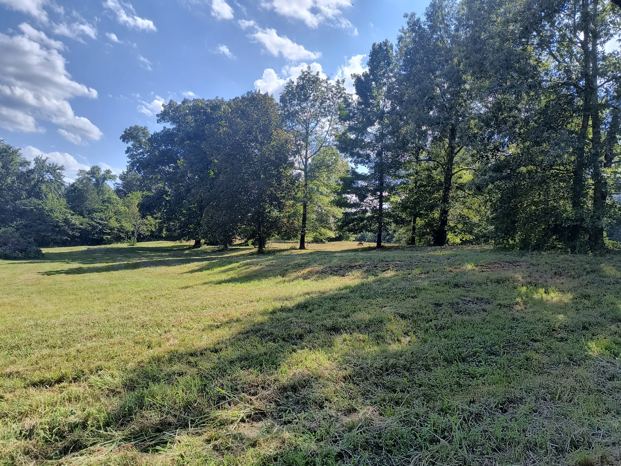 0 Highway 41 A Shelbyville TN 37160