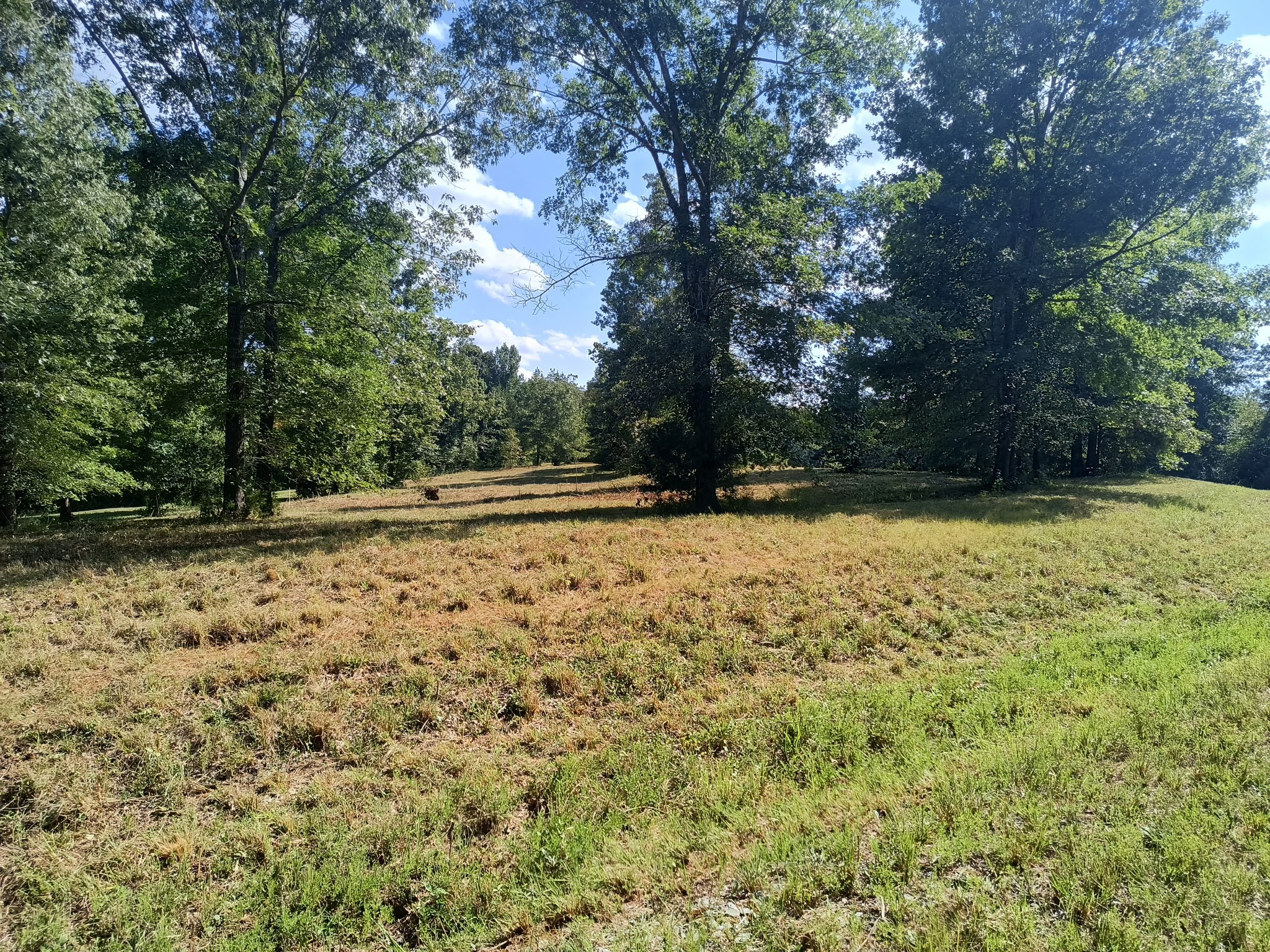 0 Highway 41 A Shelbyville TN 37160