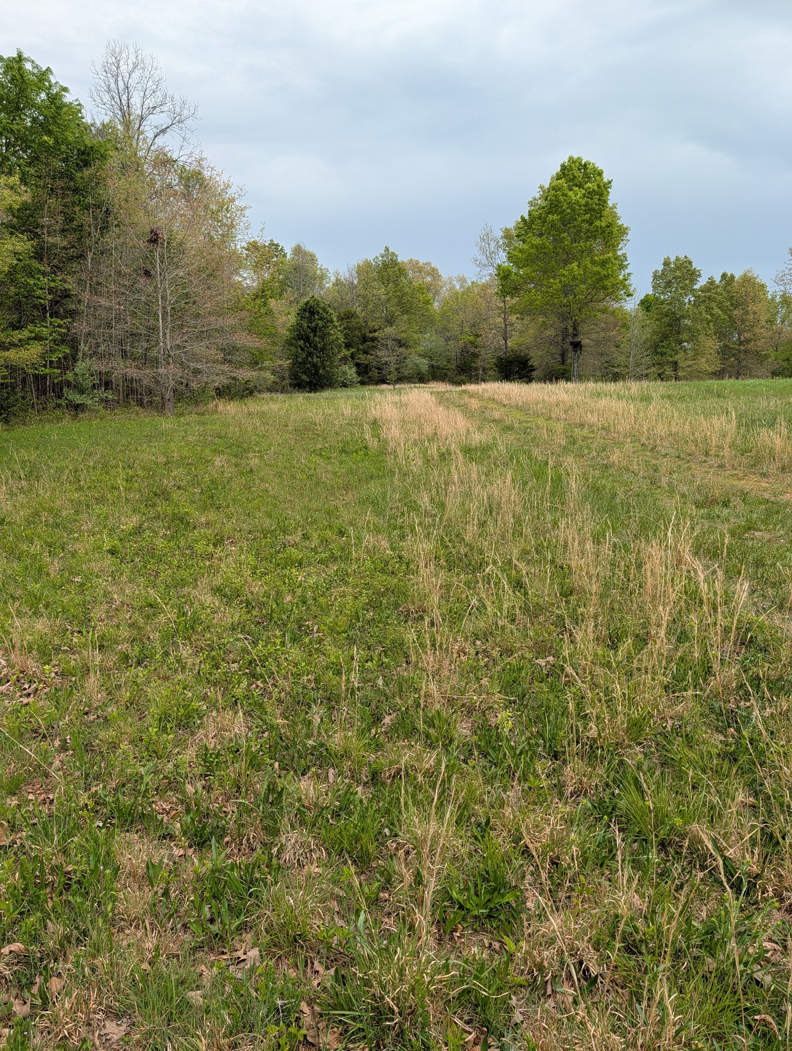 0 Highway 41 A Shelbyville TN 37160