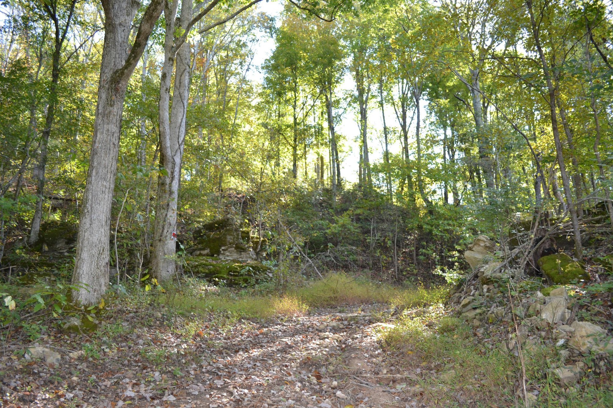 3316 Patton Branch Road Goodlettsville TN 37072