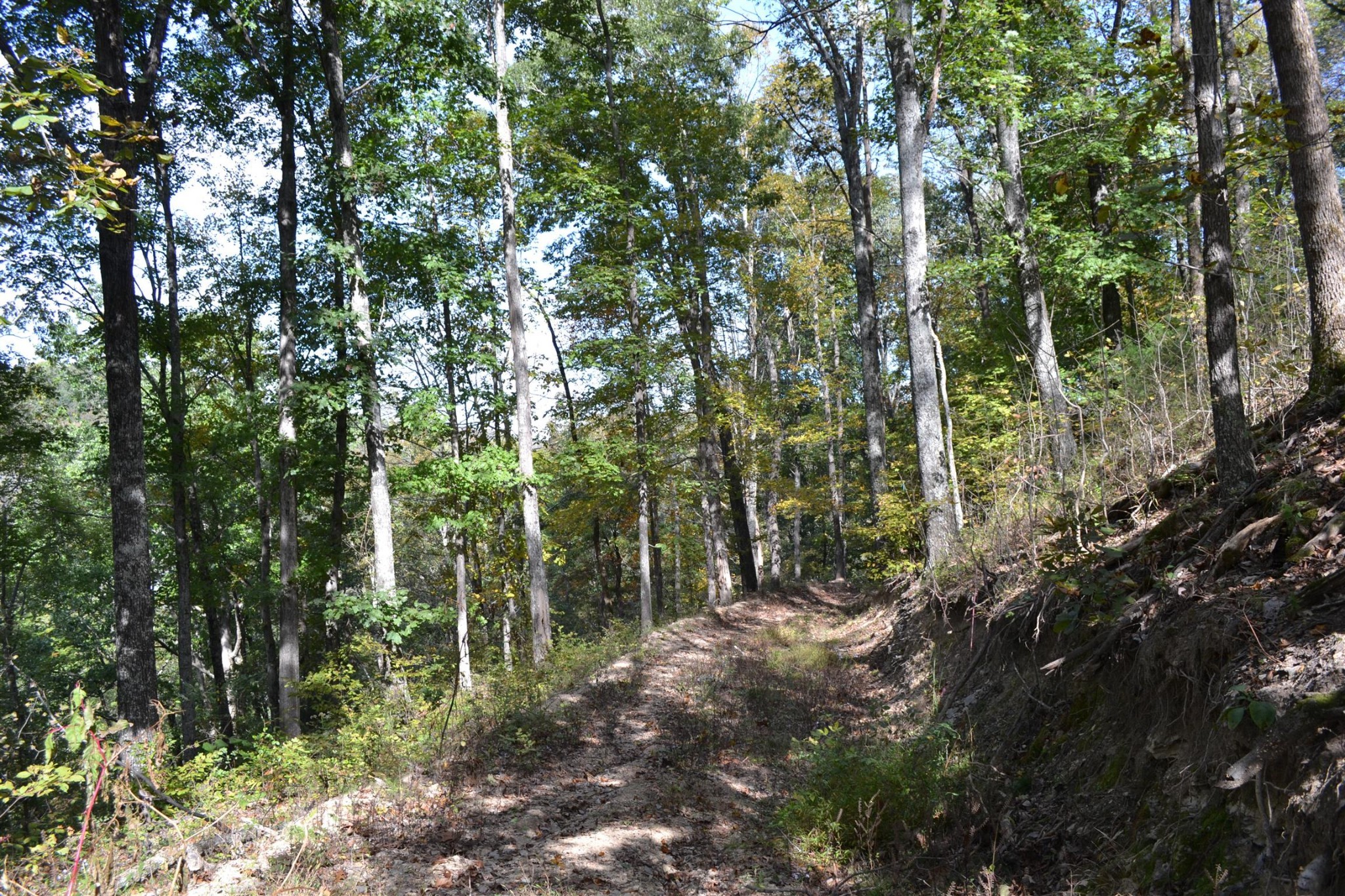 3316 Patton Branch Road Goodlettsville TN 37072