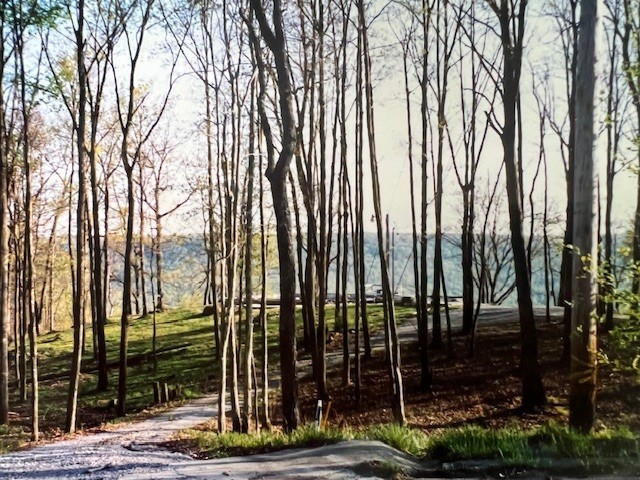0 Long View Lane Monteagle TN 37356