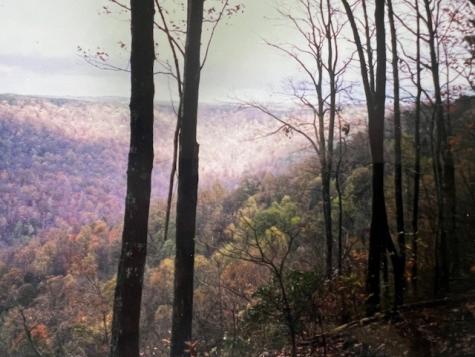 0 Long View Lane Monteagle TN 37356