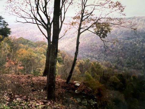 0 Long View Lane Monteagle TN 37356