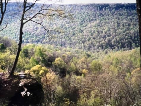 0 Long View Lane Monteagle TN 37356