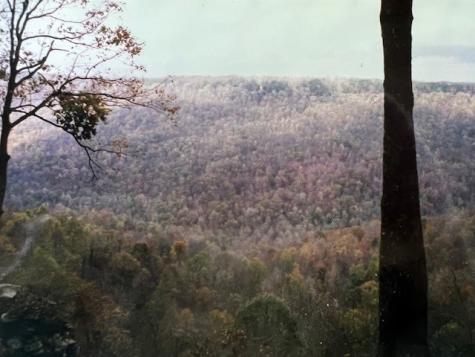 0 Long View Lane Monteagle TN 37356