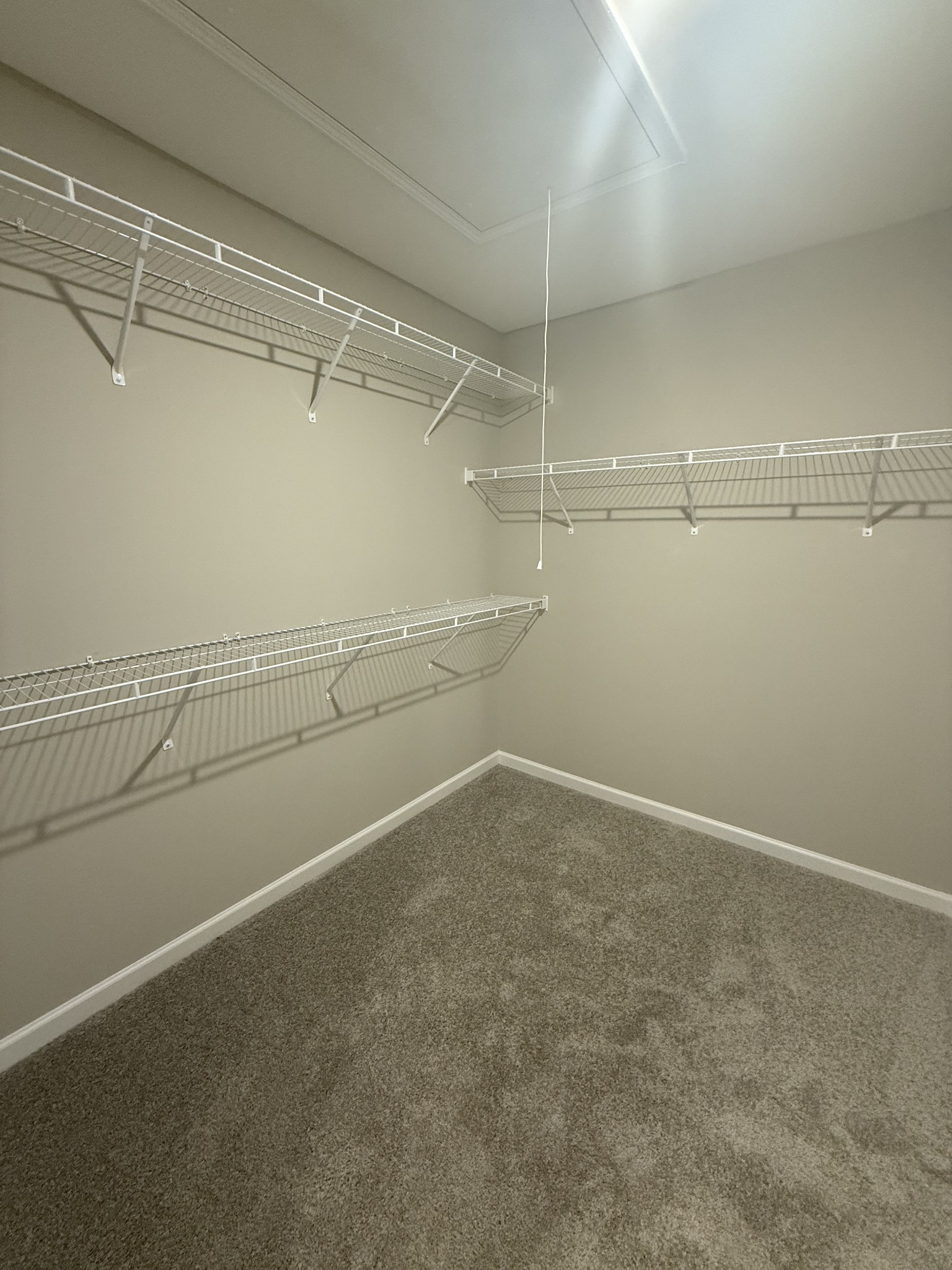 264 Selesia Lane Pleasant View TN 37146