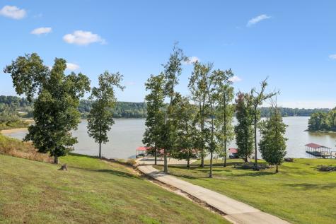 824 Driftwood Drive Lobelville TN 37097