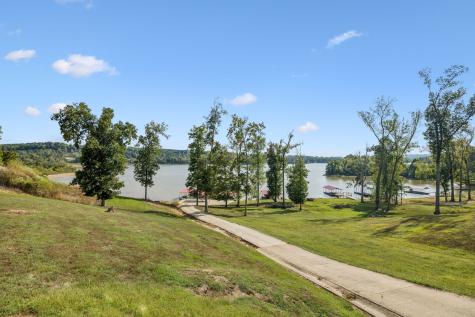824 Driftwood Drive Lobelville TN 37097