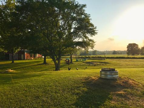 322 Shun Pike Cottontown TN 37048
