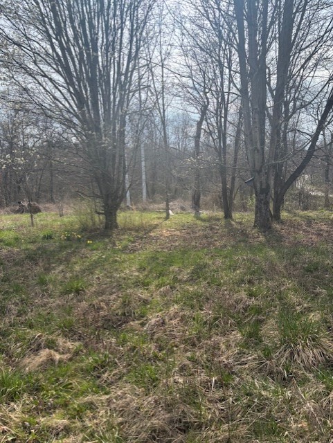 13215 Highway 70, N Crossville TN 38571