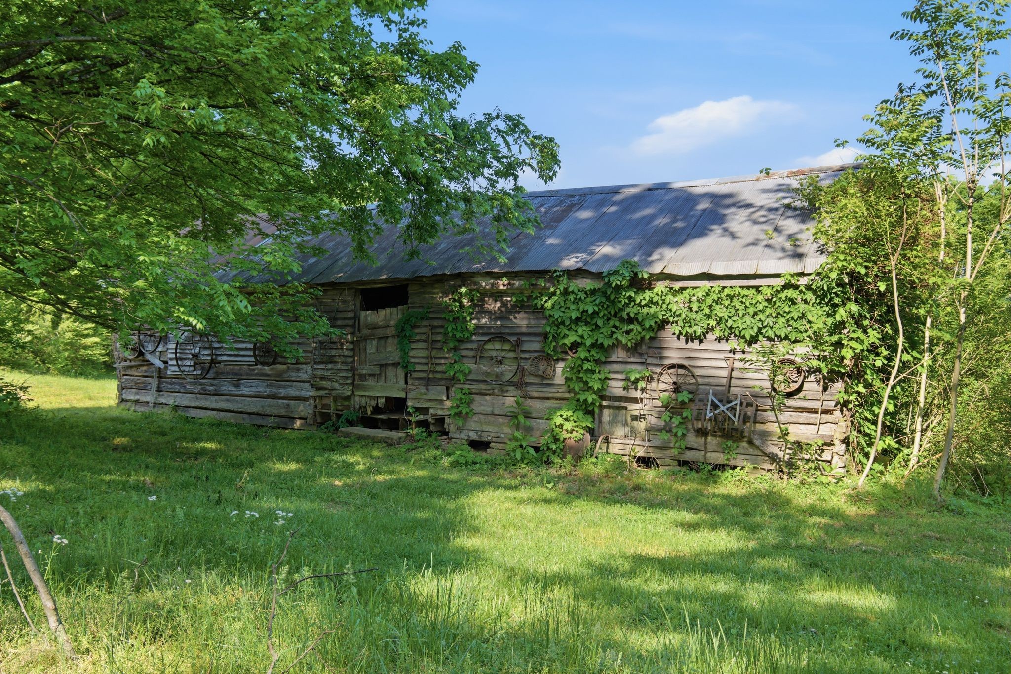 8931 Horton Highway College Grove TN 37046