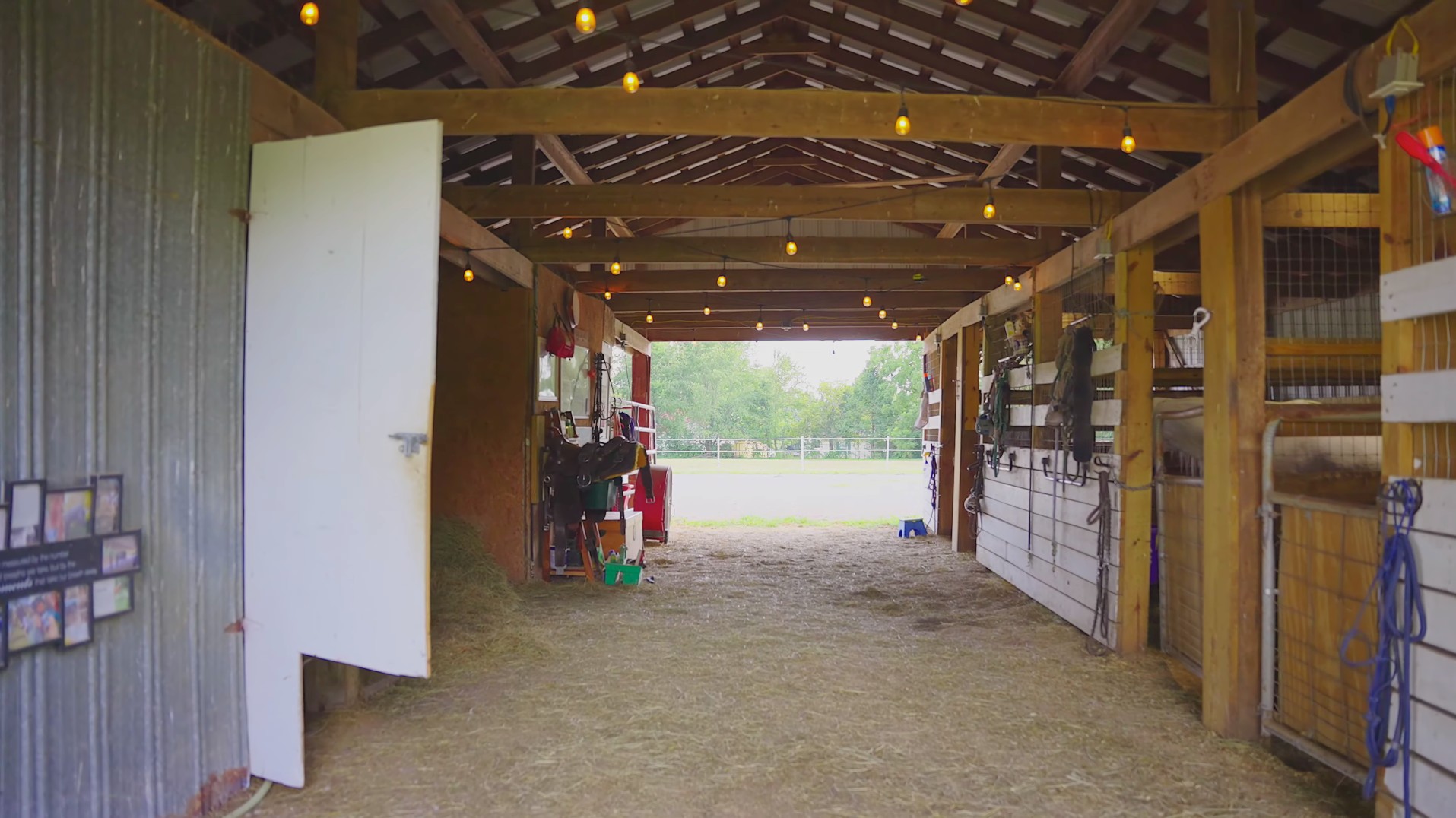 308 Brinkley Lane White House TN 37188