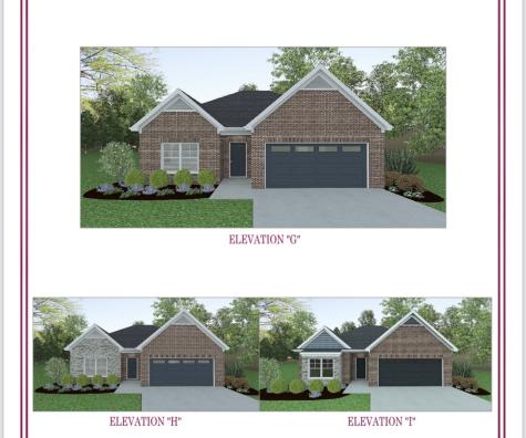 328 Moccasin Trail Lot 295 Spring Hill TN 37174