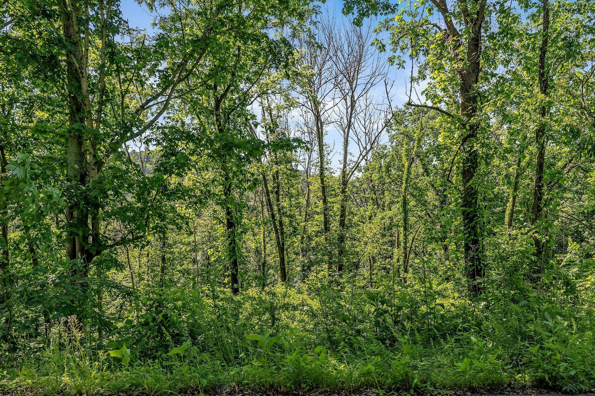 0 Harbor Pointe Silver Point TN 38582