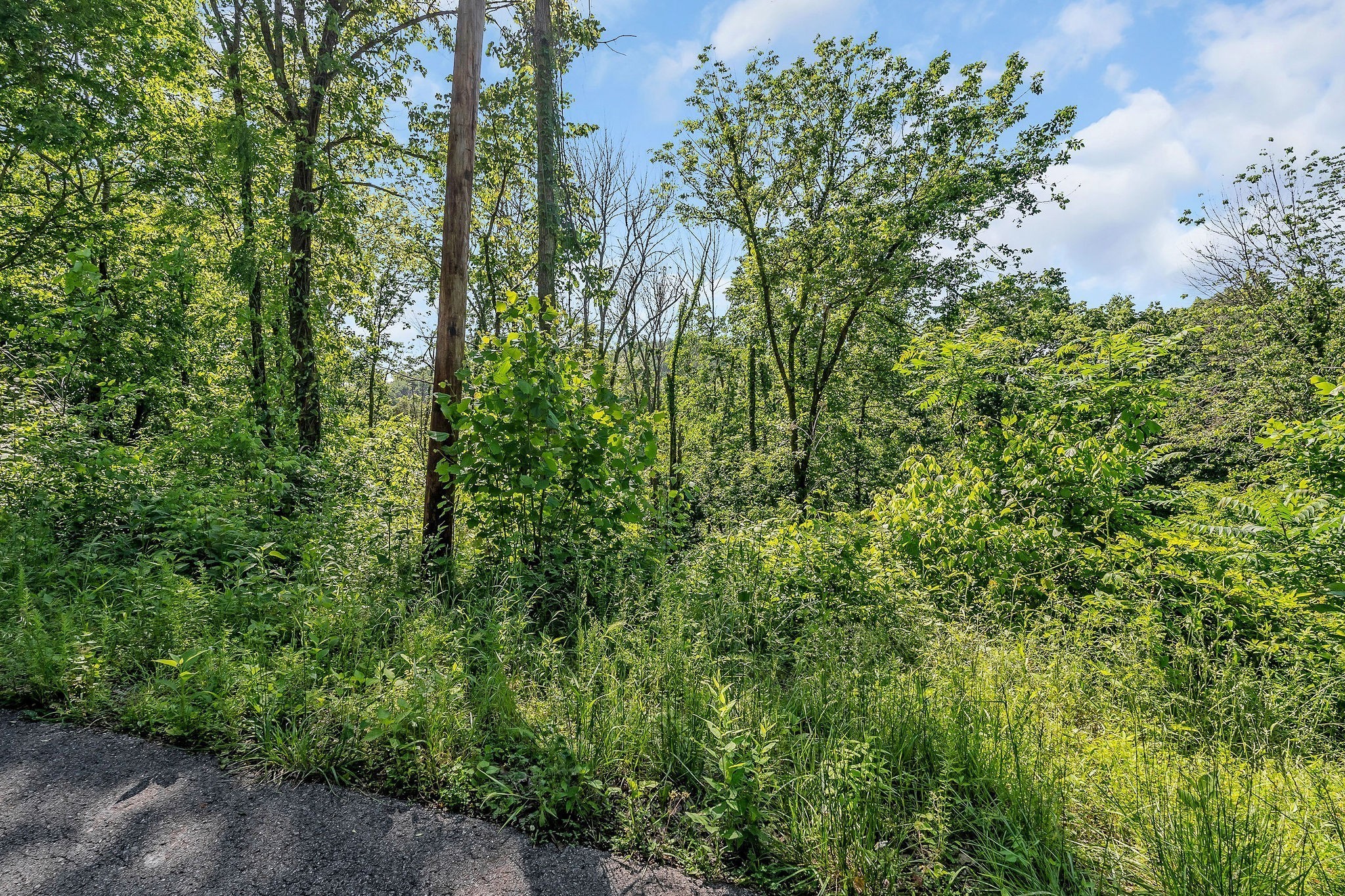 0 Harbor Pointe Silver Point TN 38582