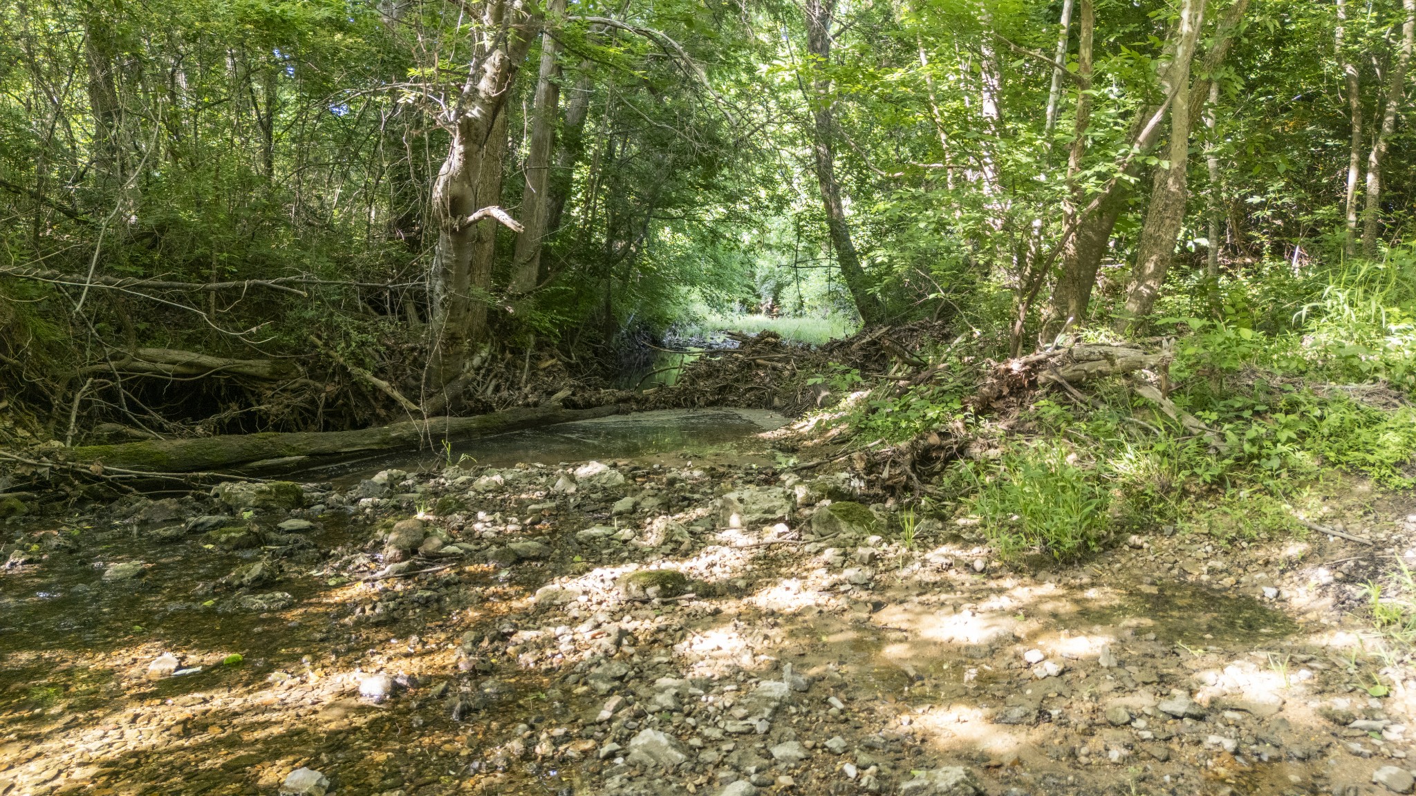 0 Norwood Creek Road Winchester TN 37398