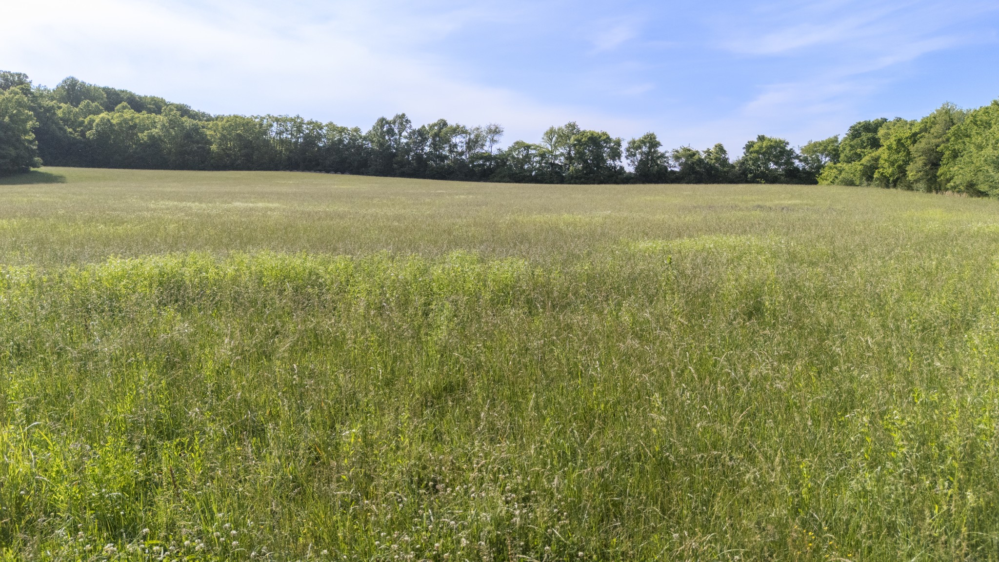 0 Norwood Creek Road Winchester TN 37398