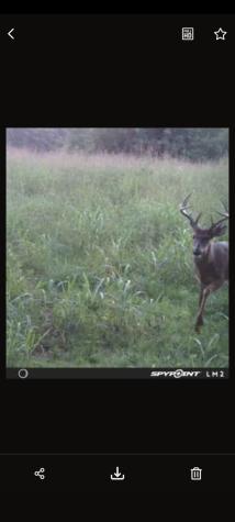 999 Moores Chapel Road Greenfield TN 38230