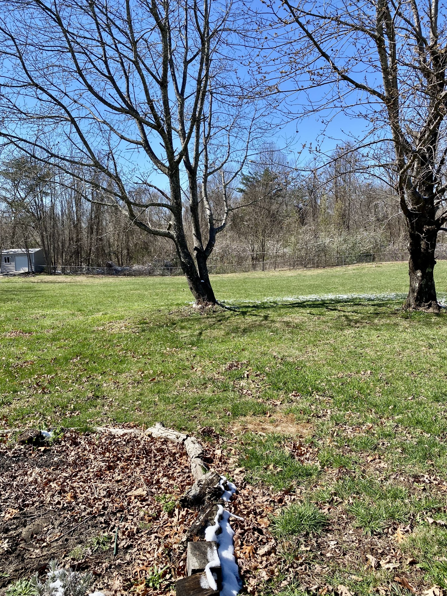 164 Rattlesnake Road Mcminnville TN 37110